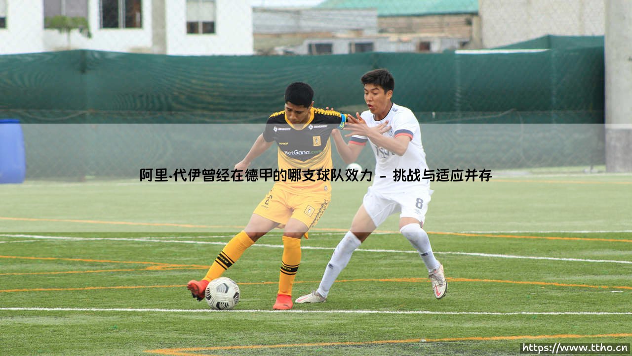 阿里·代伊的德甲岁月：他曾经效力于哪支德国球队？——「亚洲传奇」在拜耳勒沃库森的绿茵足迹-第2张图片-天体号