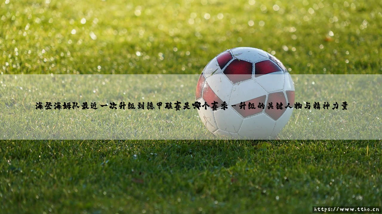 海登海姆的德甲之路:他们最近一次升级到德甲联赛是哪个赛季?- 探寻「黑马」的奇迹时刻-第3张图片-天体号 海登海姆的德甲之路:他们最近一次升级到德甲联赛是哪个赛季?- 探寻「黑马」的奇迹时刻-第3张图片-天体号