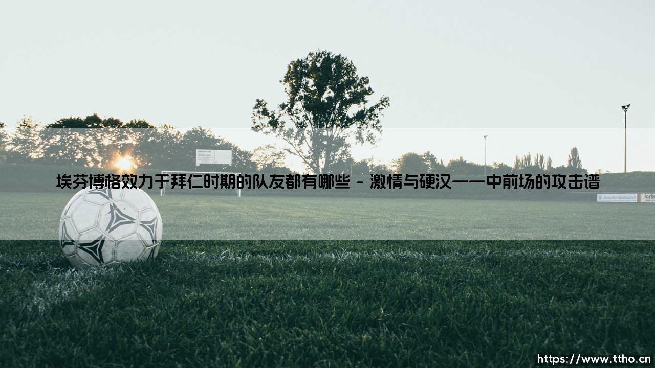 埃芬博格效力于拜仁时期的队友都有哪些|球门之间-第1张图片-天体号