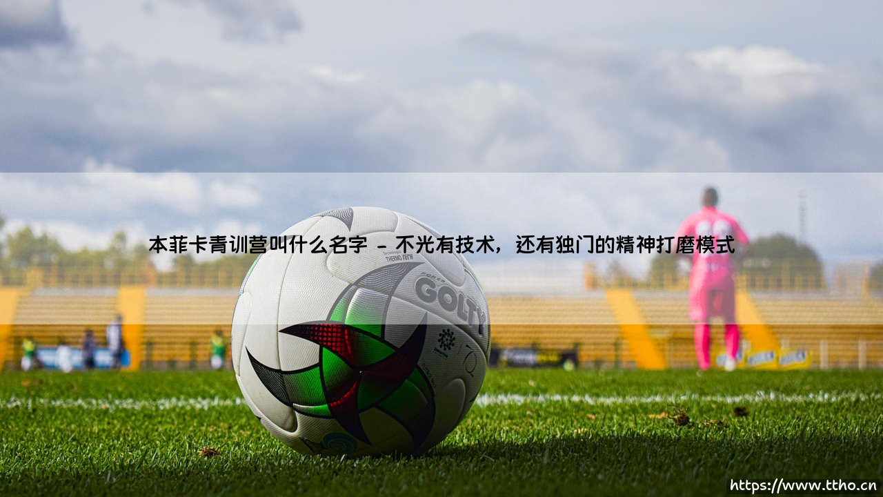 本菲卡青训营叫什么名字?揭开欧洲足球摇篮的神秘面纱-第2张图片-天体号 本菲卡青训营叫什么名字?揭开欧洲足球摇篮的神秘面纱-第2张图片-天体号