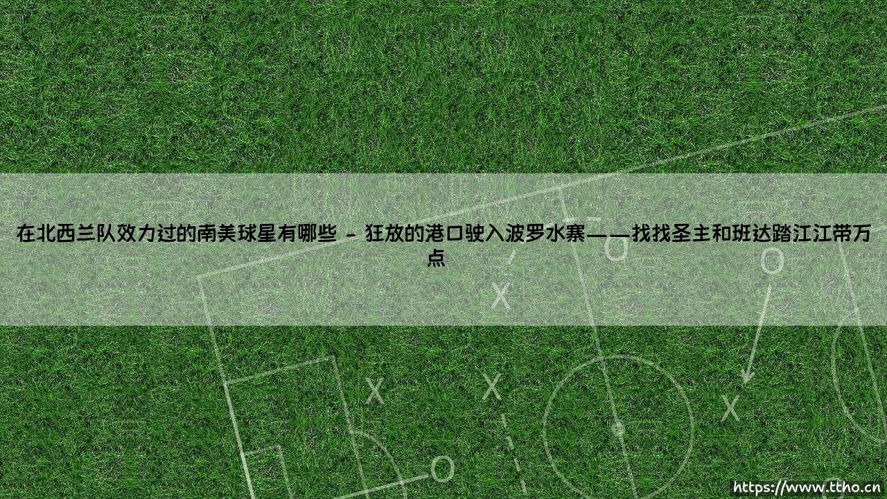 在北西兰队效力过的南美球星有哪些？-「从丹麦到南美的足球奇缘」～[那些曾让北欧赛场闪耀的拉丁之星]-第2张图片-天体号