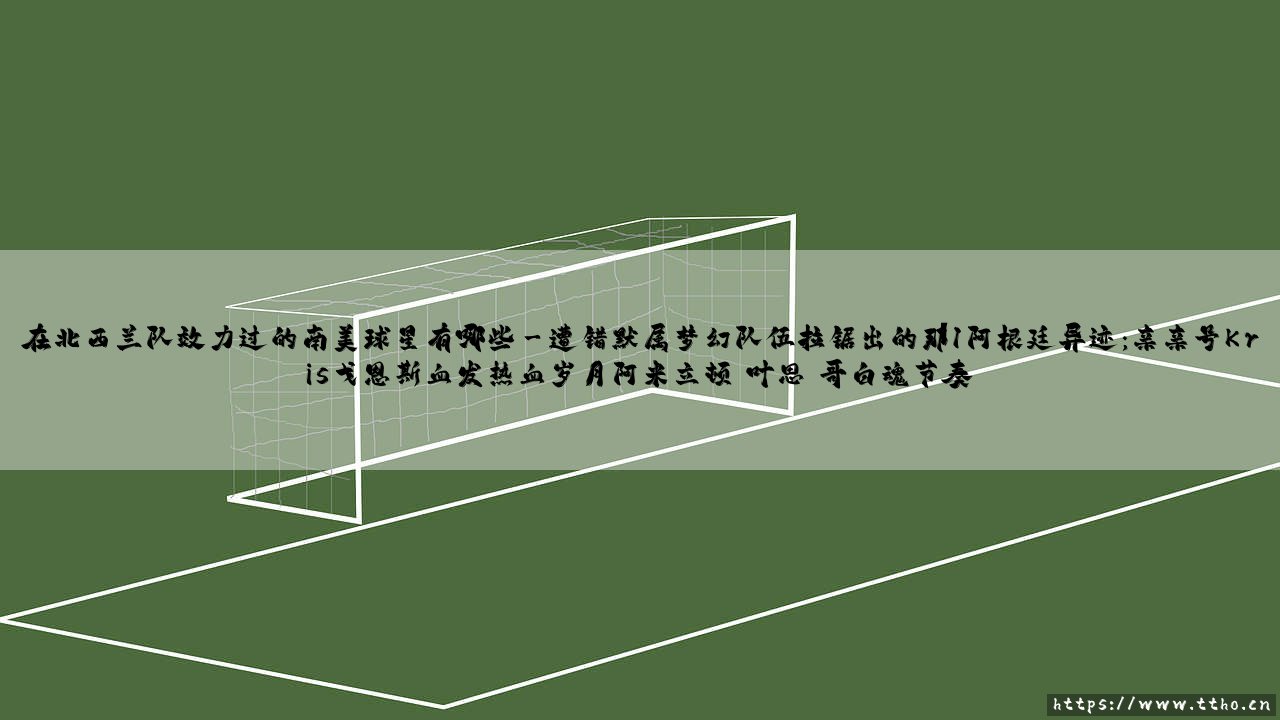 在北西兰队效力过的南美球星有哪些？-「从丹麦到南美的足球奇缘」～[那些曾让北欧赛场闪耀的拉丁之星]-第3张图片-天体号