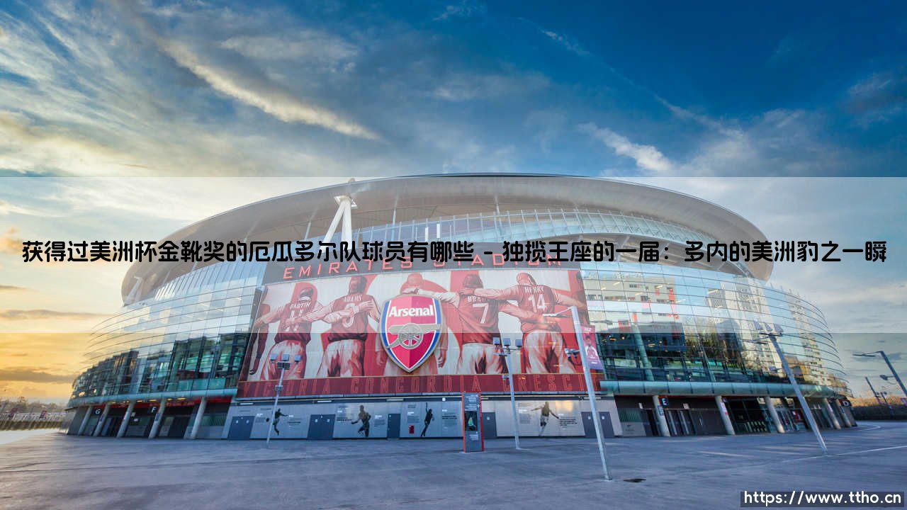 绝境破门尖刀之谜:那些获得过美洲杯金靴奖的厄瓜多尔队球员在哪里?-第1张图片-天体号 绝境破门尖刀之谜:那些获得过美洲杯金靴奖的厄瓜多尔队球员在哪里?-第1张图片-天体号