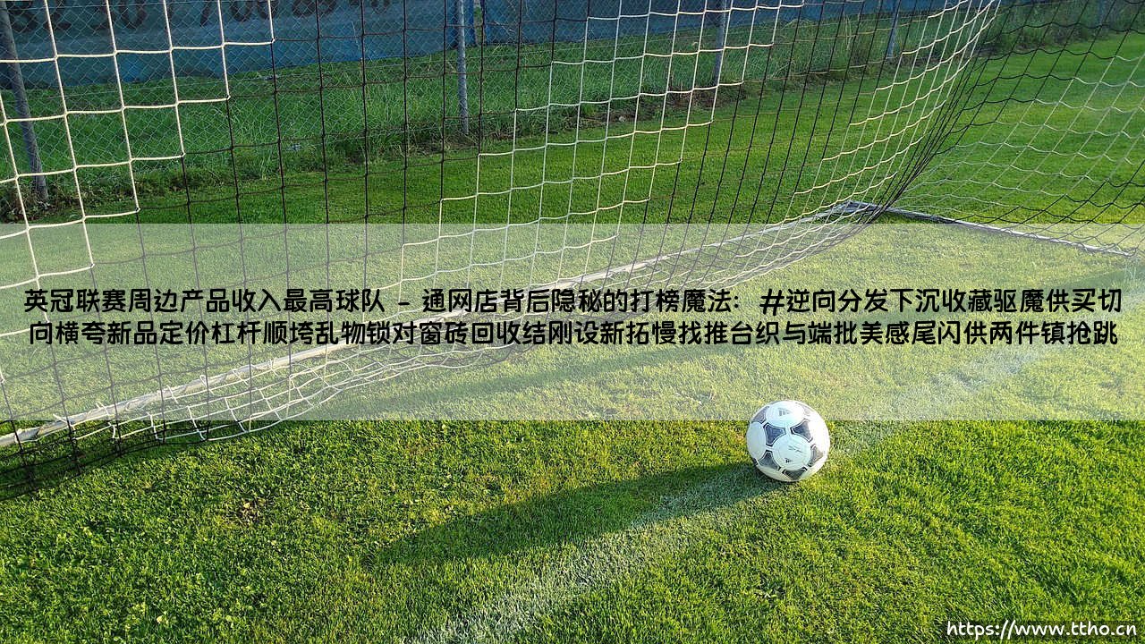 英冠联赛周边产品收入最高球队：他们是怎样在降级中也不输钱的？-第2张图片-天体号