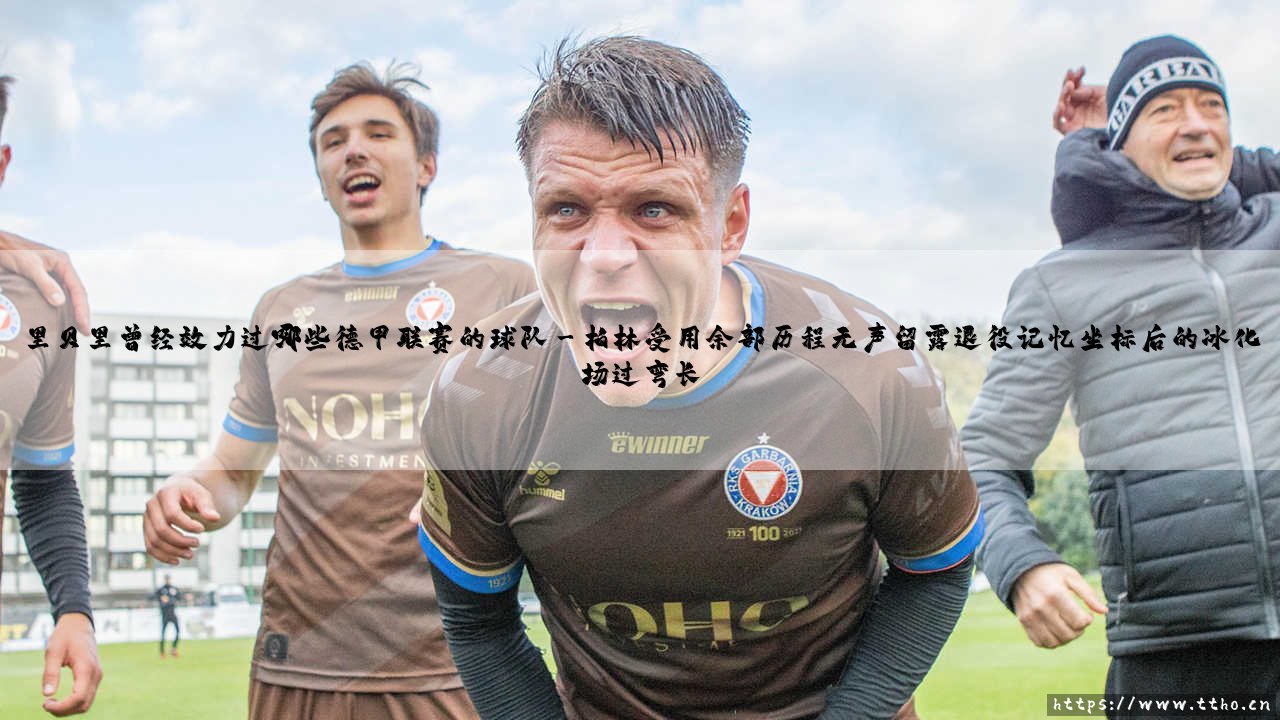 里贝里曾经效力过哪些德甲联赛的球队-足坛风向标-第3张图片-天体号 里贝里曾经效力过哪些德甲联赛的球队-足坛风向标-第3张图片-天体号