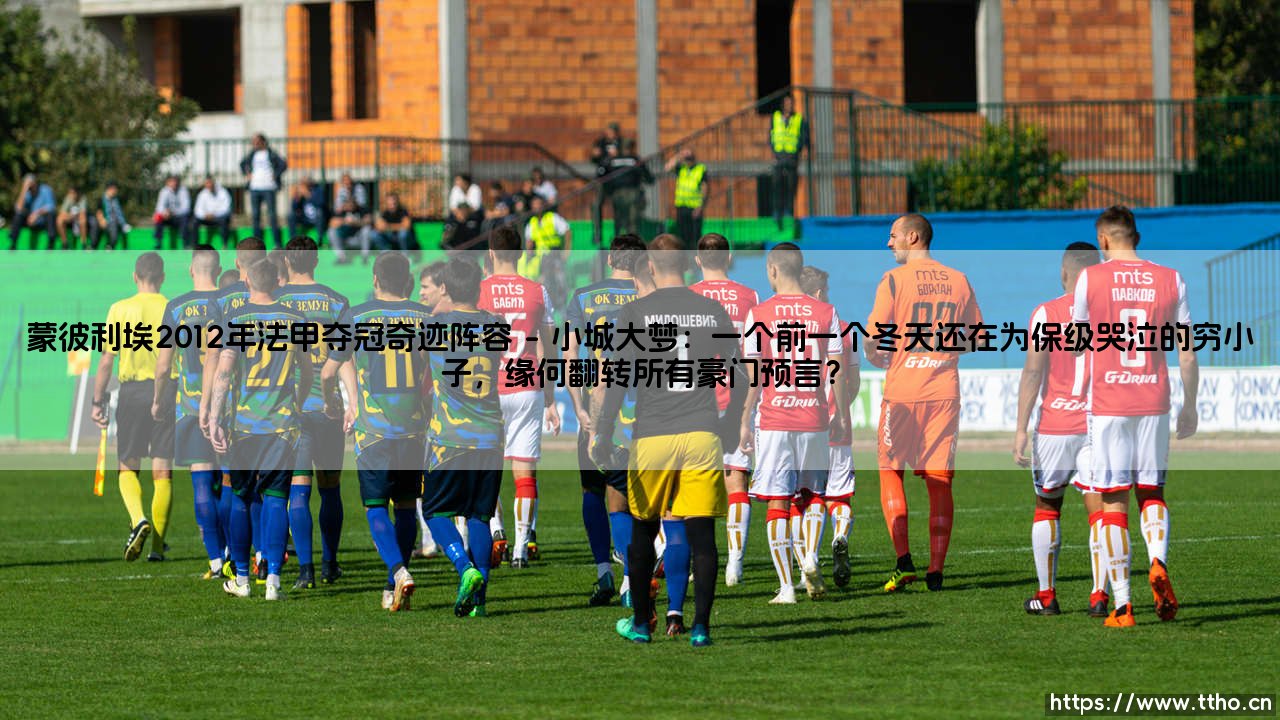 蒙彼利埃2012年法甲夺冠奇迹阵容：当小城球队打破豪门铁幕，谁还记得他们是如何点燃足坛的？-第1张图片-天体号