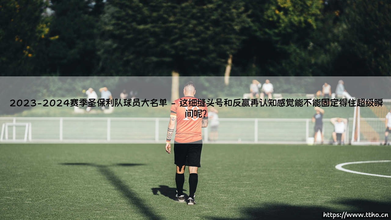 2023-2024赛季圣保利队球员大名单？这份「德乙冠军」阵容，你可能真的没看透-第2张图片-天体号