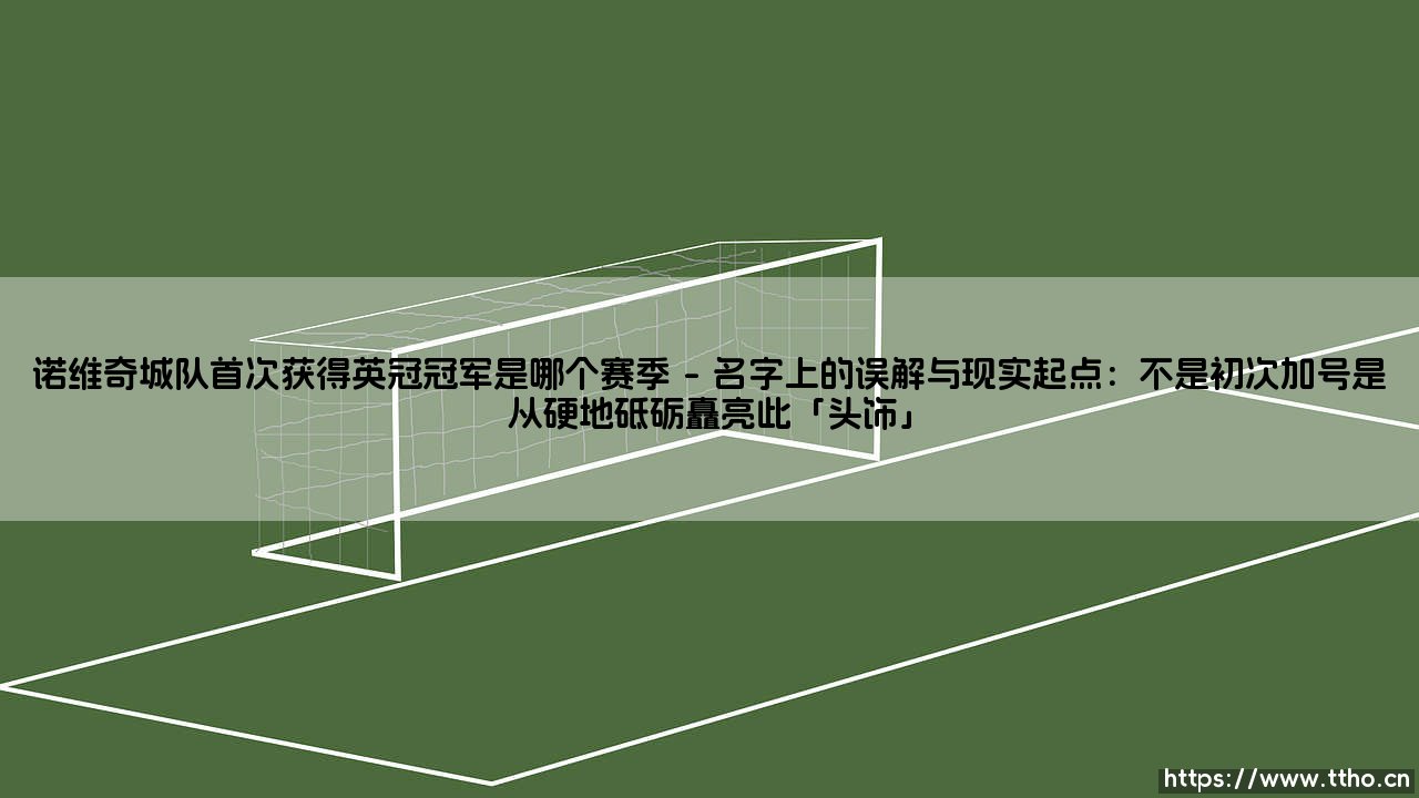 诺维奇城队首次获得英冠冠军是哪个赛季？——[「荣耀时刻」：诺维奇城队的回首之旅]？-第1张图片-天体号