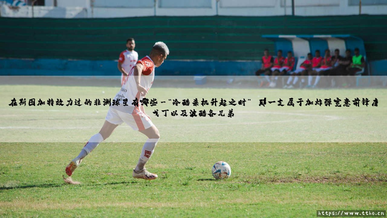 那些年在斯图加特效力的非洲球星，你还记得谁？：非洲足球与德甲蓝白的激情碰撞-第3张图片-天体号
