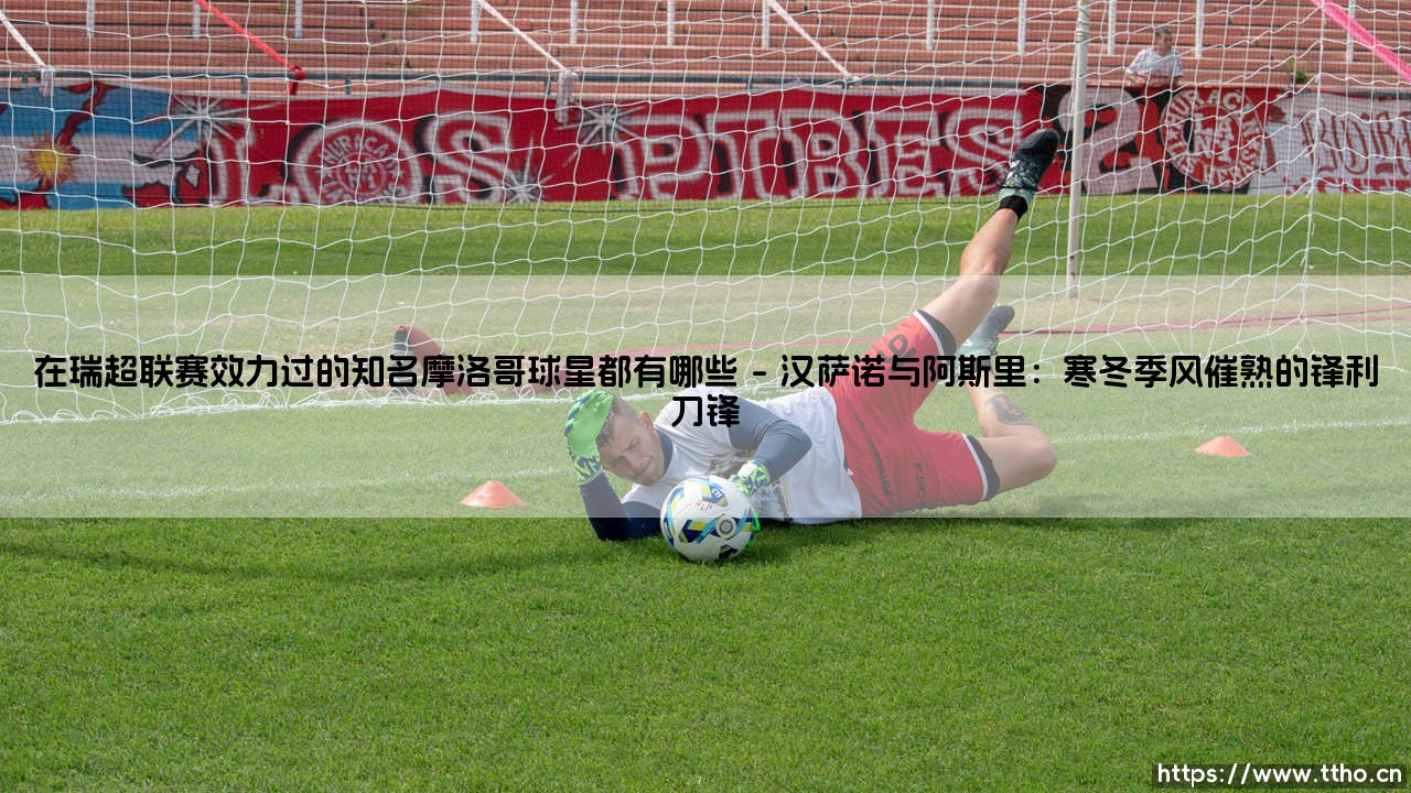 在瑞超联赛效力过的知名摩洛哥球星都有哪些——东方体育-第1张图片-天体号