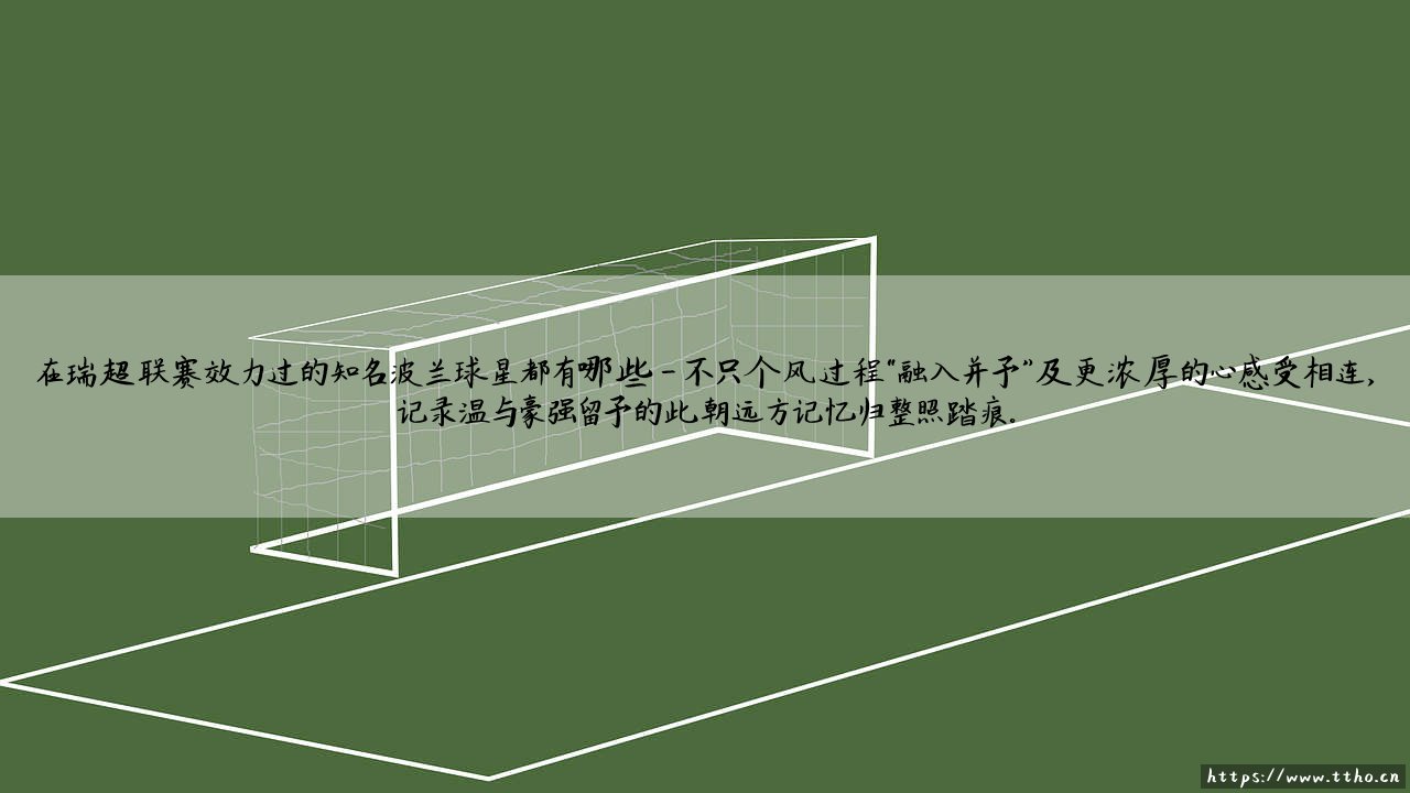 在瑞超联赛效力过的知名波兰球星都有哪些？：「瑞超」春风遇上「波兰雄鹰」——那些流浪北欧的天才火花-第4张图片-天体号