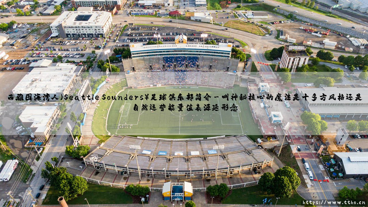 西雅图海湾人（Seattle Sounders）足球俱乐部简介？我们是否问过自己：是什么让这支「海湾人」成为全美最独特的足球符号？-第3张图片-天体号