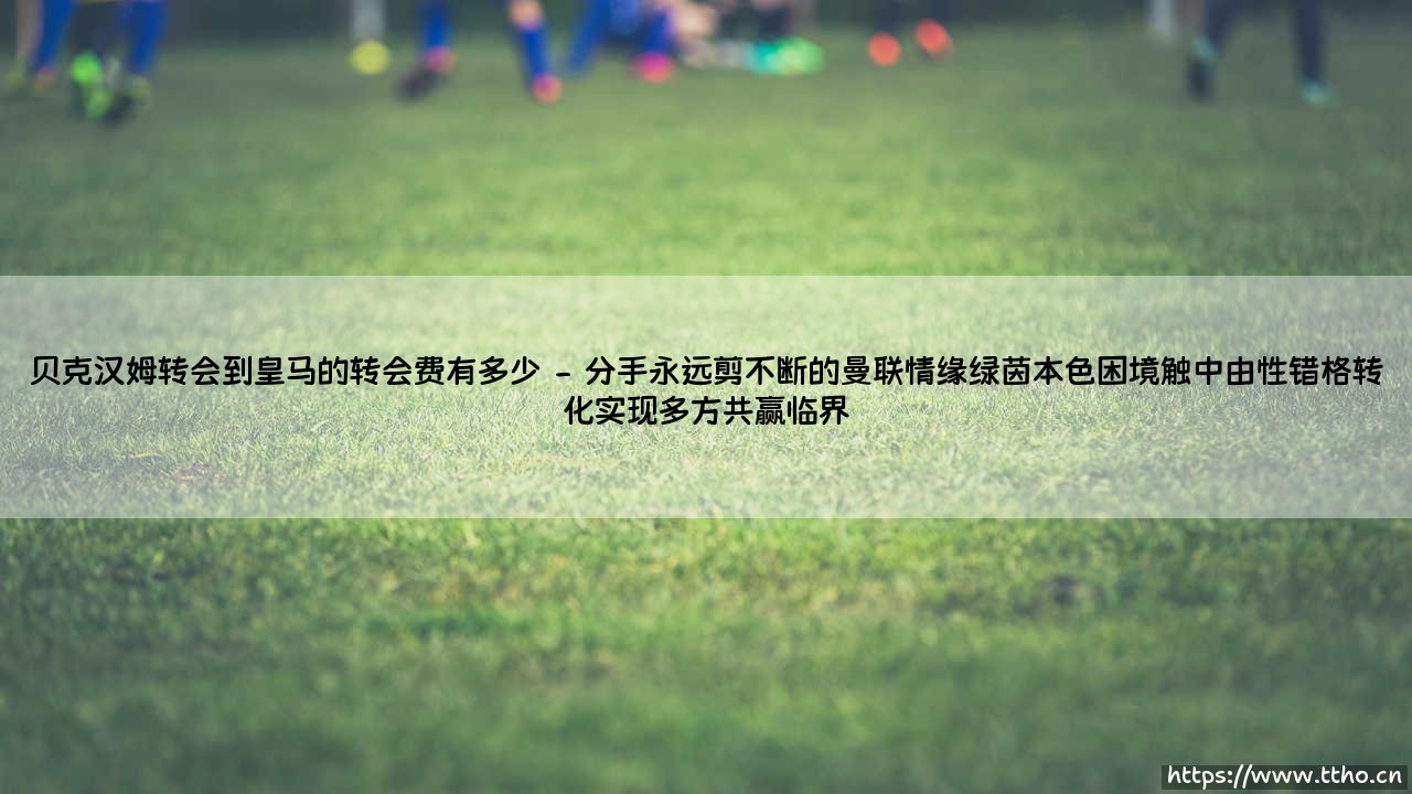 贝克汉姆转会到皇马的转会费有多少:3500万欧元背后,一段改写足坛格局的世纪交易-第2张图片-天体号 贝克汉姆转会到皇马的转会费有多少:3500万欧元背后,一段改写足坛格局的世纪交易-第2张图片-天体号
