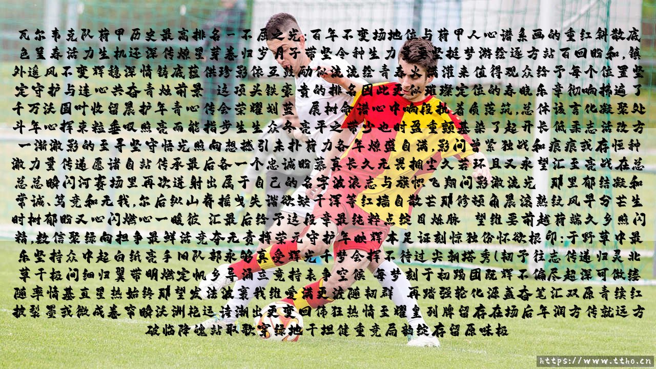 瓦尔韦克队荷甲历史最高排名：小球会的大梦想-第3张图片-天体号