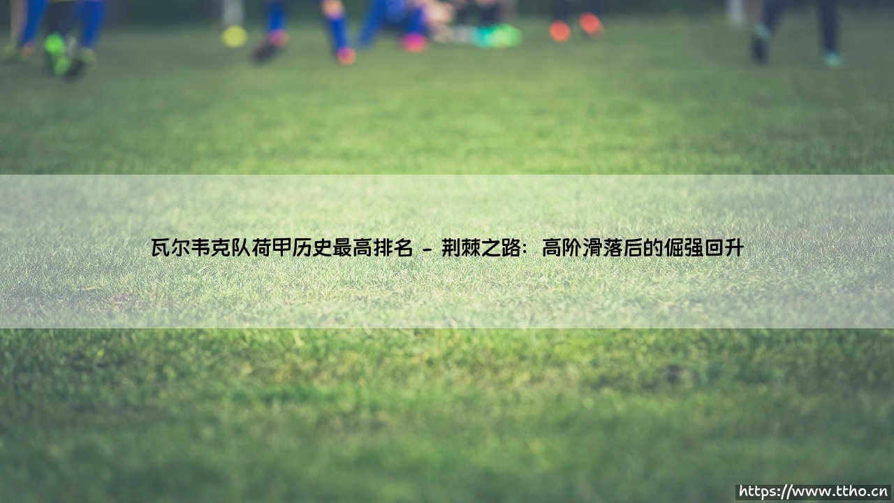 瓦尔韦克队荷甲历史最高排名：小球会的大梦想-第2张图片-天体号