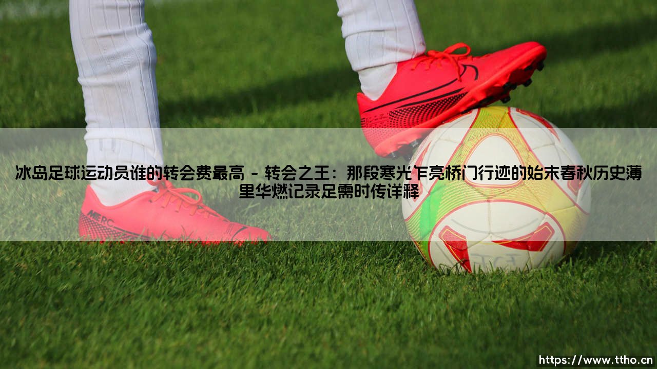 冰岛足球运动员谁的转会费最高「90+」-第1张图片-天体号 冰岛足球运动员谁的转会费最高「90+」-第1张图片-天体号