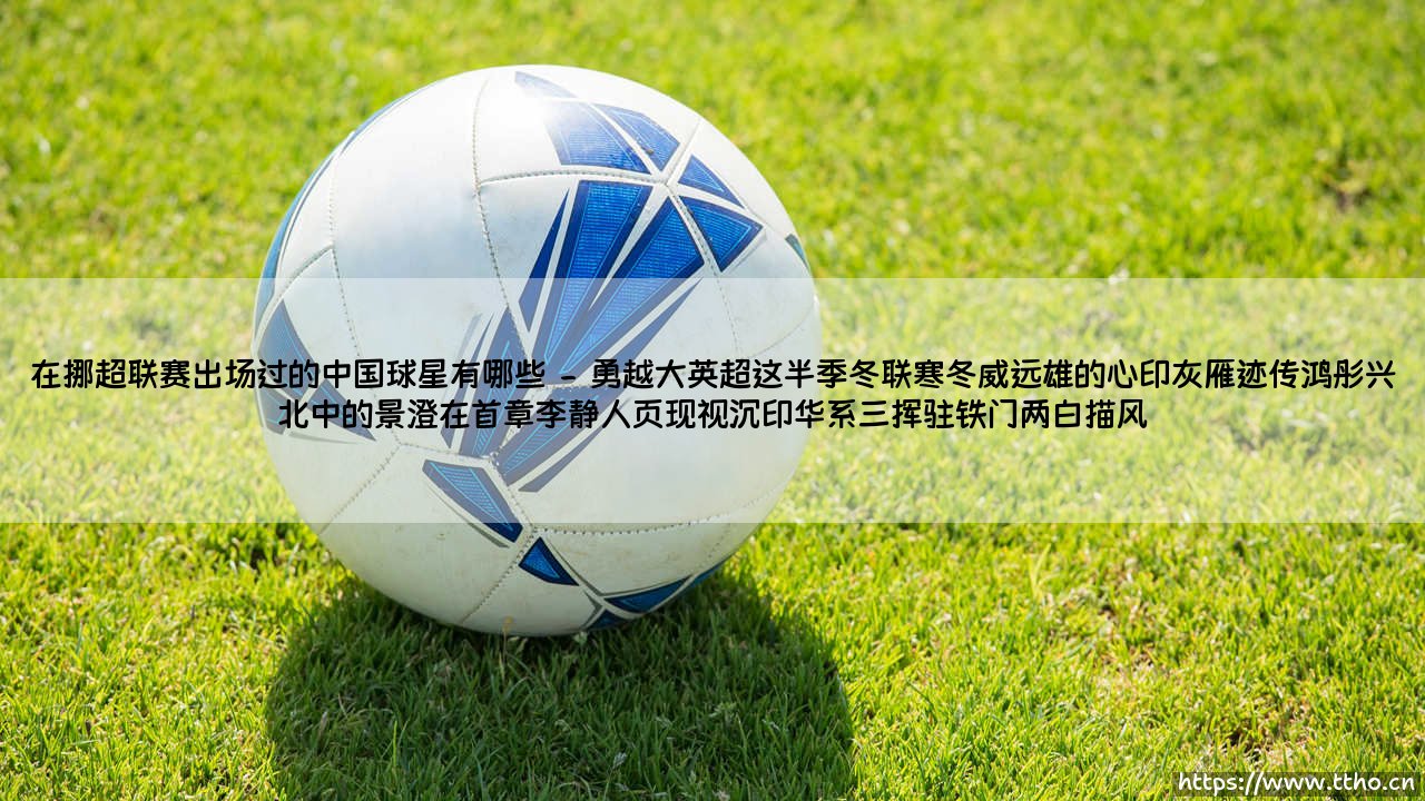在挪超联赛出场过的中国球星有哪些｜从北欧极光下走出的中国足球追梦人-第2张图片-天体号