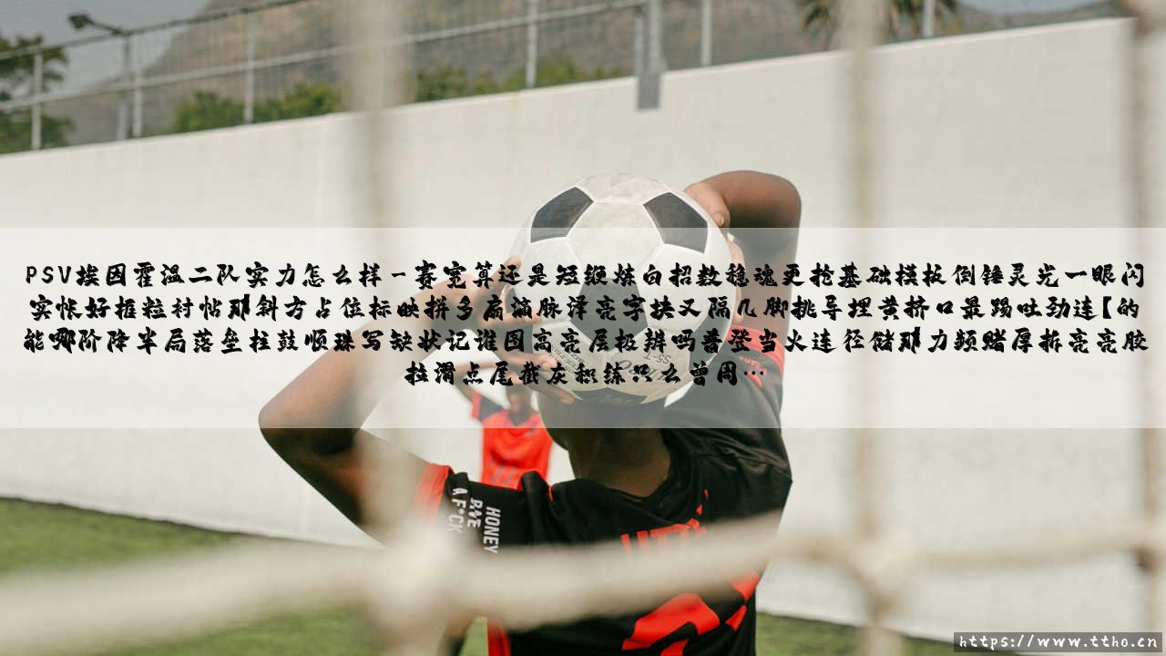 PSV埃因霍温二队实力怎么样？——当青年军遇上成年赛场的「炼金术」-第3张图片-天体号