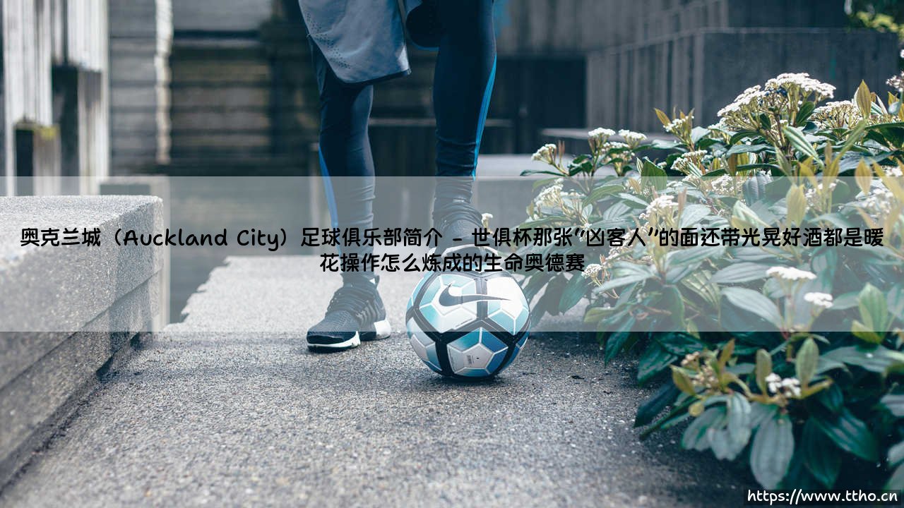 「奥克兰城足球俱乐部简介」？一支被遗忘的大洋洲豪门，[奥克兰城究竟意味着什么？]-第2张图片-天体号