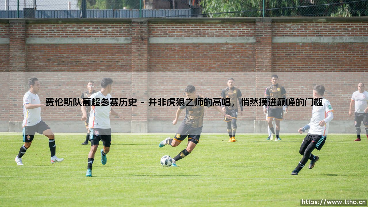 费伦斯队葡超参赛历史——一支小球队的葡超征途-第1张图片-天体号