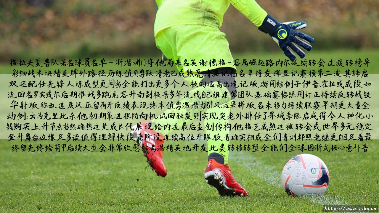 你知道哪些格拉夫夏普队著名球员？——这份「格拉夫夏普队著名球员名单」简直就是荷兰足球的青春回忆录-第4张图片-天体号