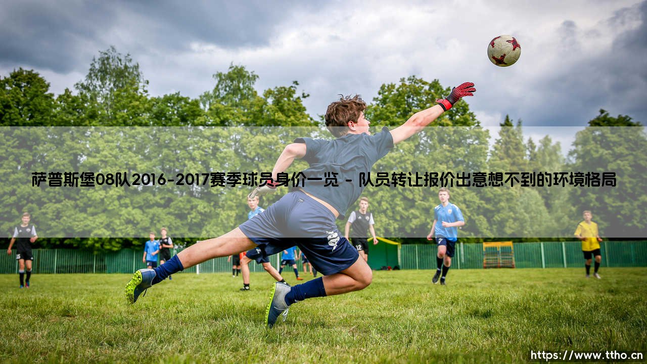 萨普斯堡08队2016-2017赛季球员身价一览-绿茵上的诗人-第1张图片-天体号