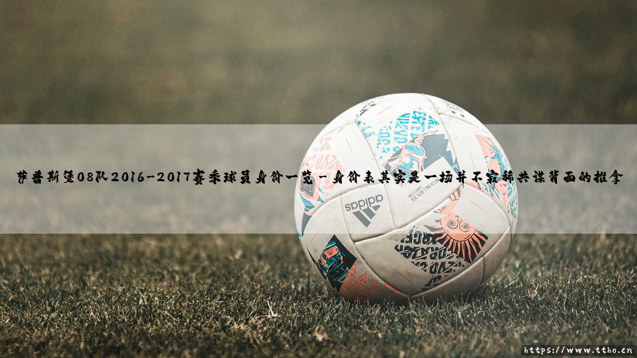 萨普斯堡08队2016-2017赛季球员身价一览-绿茵上的诗人-第3张图片-天体号