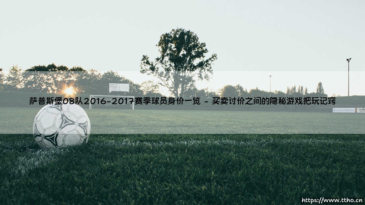 萨普斯堡08队2016-2017赛季球员身价一览-绿茵上的诗人-第2张图片-天体号
