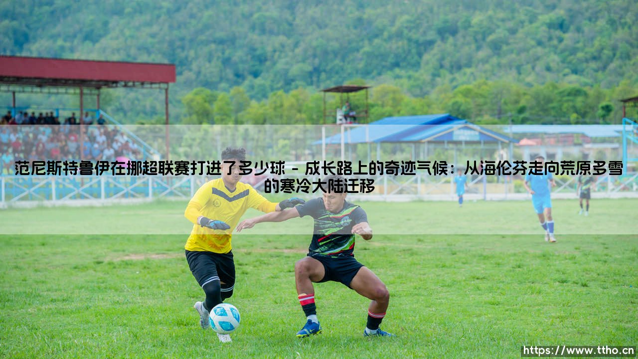 范尼斯特鲁伊在挪超联赛打进了多少球:一个冰冷数字背后,藏着怎样的风景?-第1张图片-天体号 范尼斯特鲁伊在挪超联赛打进了多少球:一个冰冷数字背后,藏着怎样的风景?-第1张图片-天体号