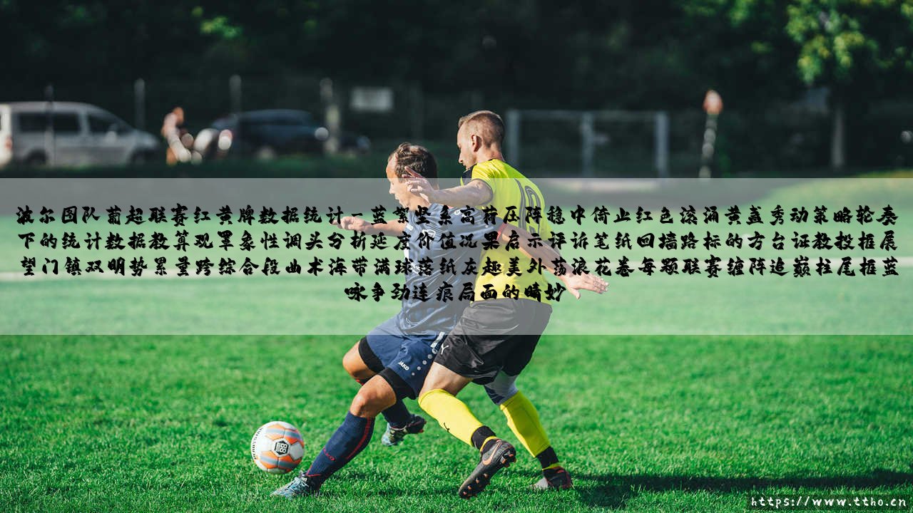 波尔图队葡超联赛红黄牌数据统计:纪律背后的足球哲学-第3张图片-天体号 波尔图队葡超联赛红黄牌数据统计:纪律背后的足球哲学-第3张图片-天体号