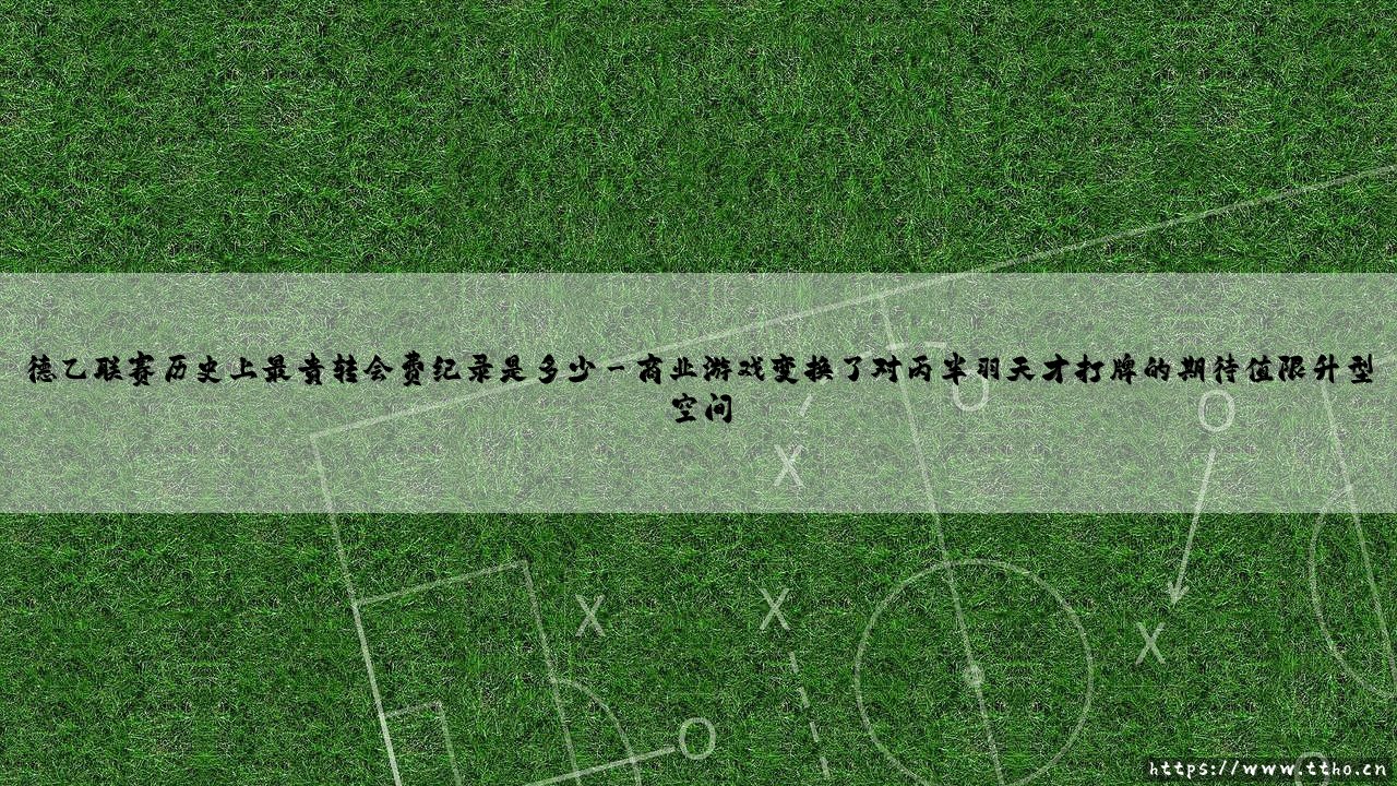德乙联赛历史上最贵转会费纪录是多少|体坛足球家-第3张图片-天体号