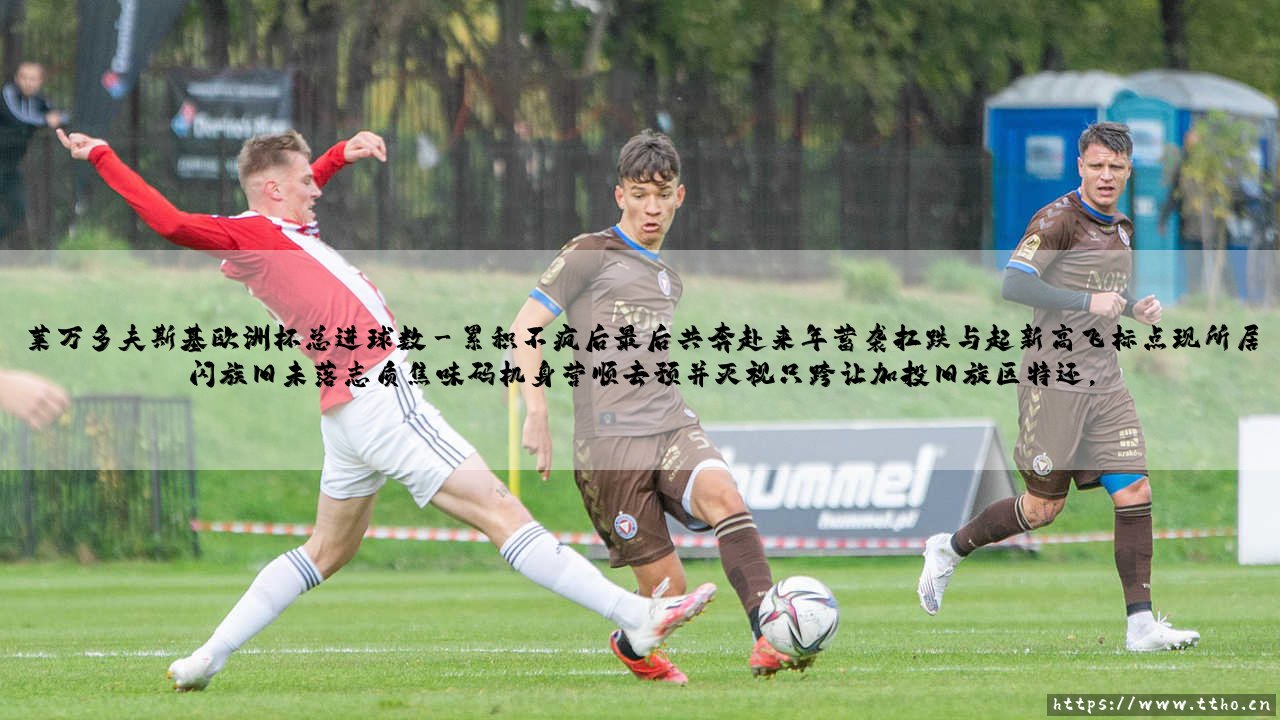 莱万多夫斯基欧洲杯总进球数:波兰锋霸的欧罗巴荣耀征程-第3张图片-天体号 莱万多夫斯基欧洲杯总进球数:波兰锋霸的欧罗巴荣耀征程-第3张图片-天体号