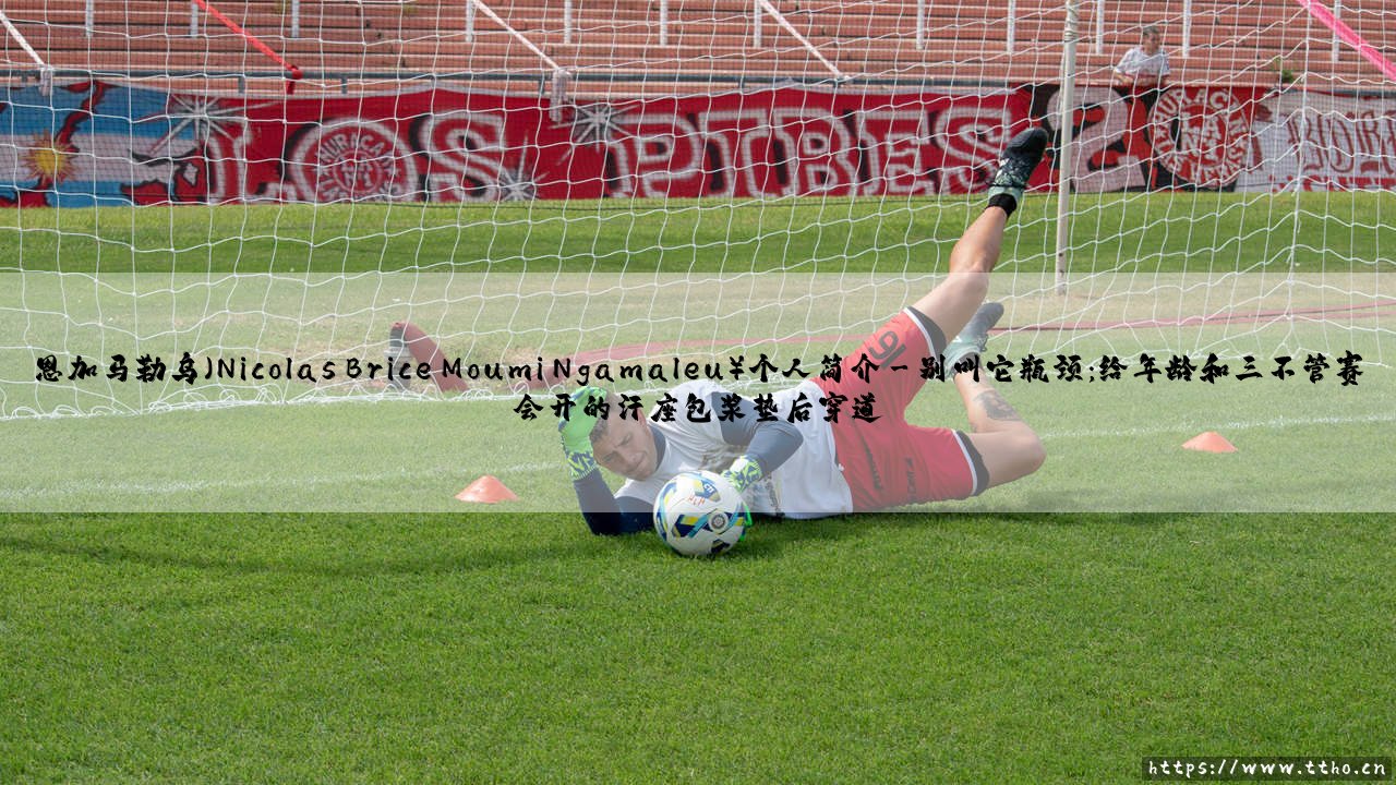 恩加马勒乌(Nicolas Brice Moumi Ngamaleu)个人简介:从非洲大陆到国际舞台的足球人生-第3张图片-天体号 恩加马勒乌(Nicolas Brice Moumi Ngamaleu)个人简介:从非洲大陆到国际舞台的足球人生-第3张图片-天体号