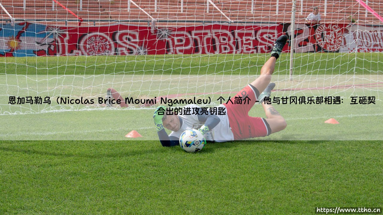 恩加马勒乌(Nicolas Brice Moumi Ngamaleu)个人简介:从非洲大陆到国际舞台的足球人生-第2张图片-天体号 恩加马勒乌(Nicolas Brice Moumi Ngamaleu)个人简介:从非洲大陆到国际舞台的足球人生-第2张图片-天体号