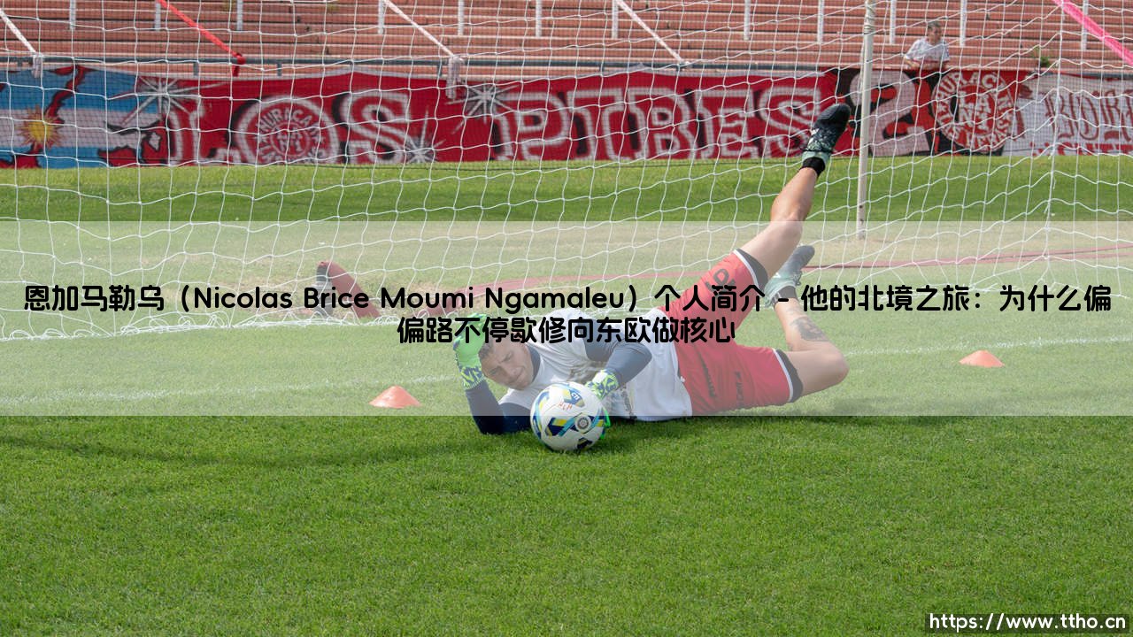 恩加马勒乌(Nicolas Brice Moumi Ngamaleu)个人简介:从非洲大陆到国际舞台的足球人生-第1张图片-天体号 恩加马勒乌(Nicolas Brice Moumi Ngamaleu)个人简介:从非洲大陆到国际舞台的足球人生-第1张图片-天体号